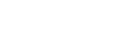 Force-E logo