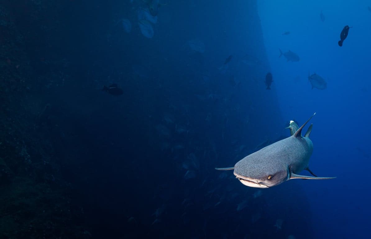Socorro Islands