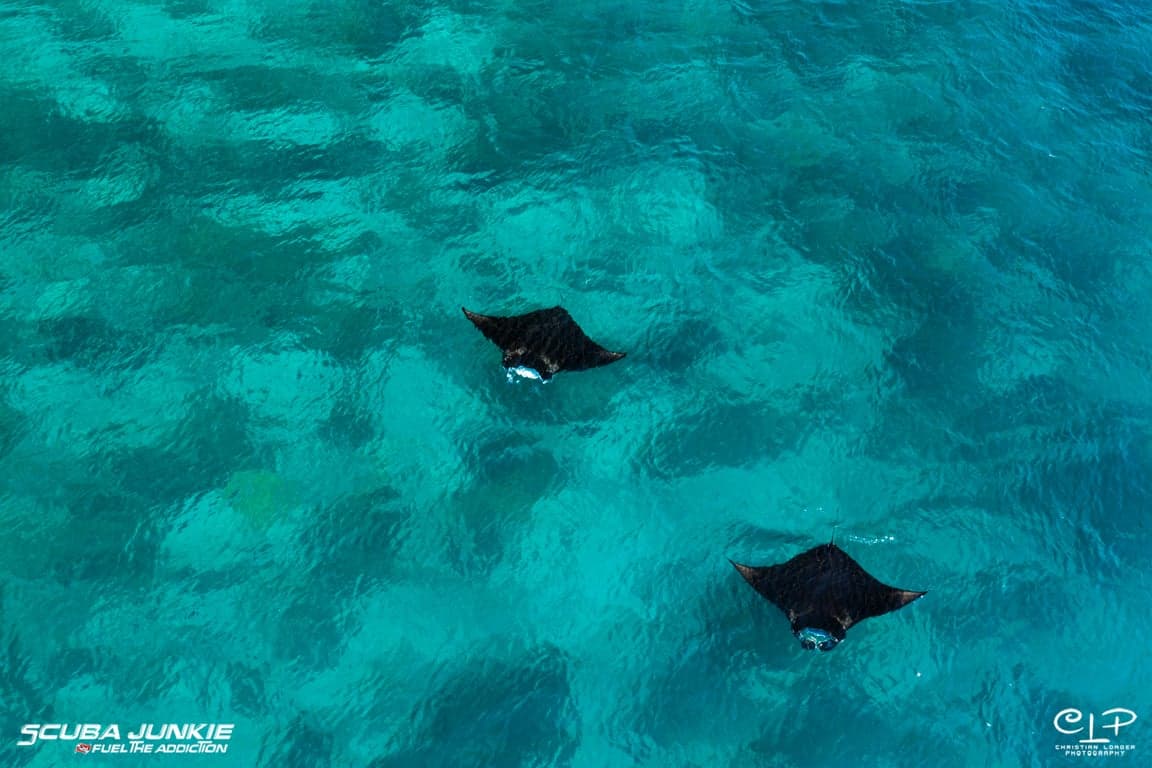 SJ-KOMODO-2019-141.jpg