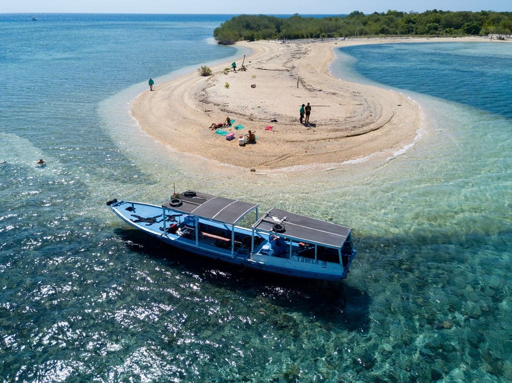 Menjangan