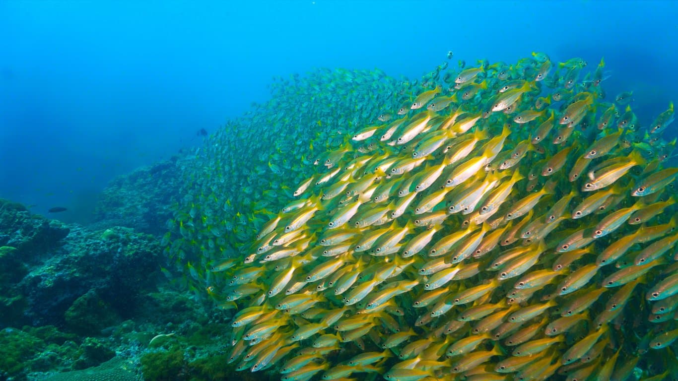 Koh Lanta