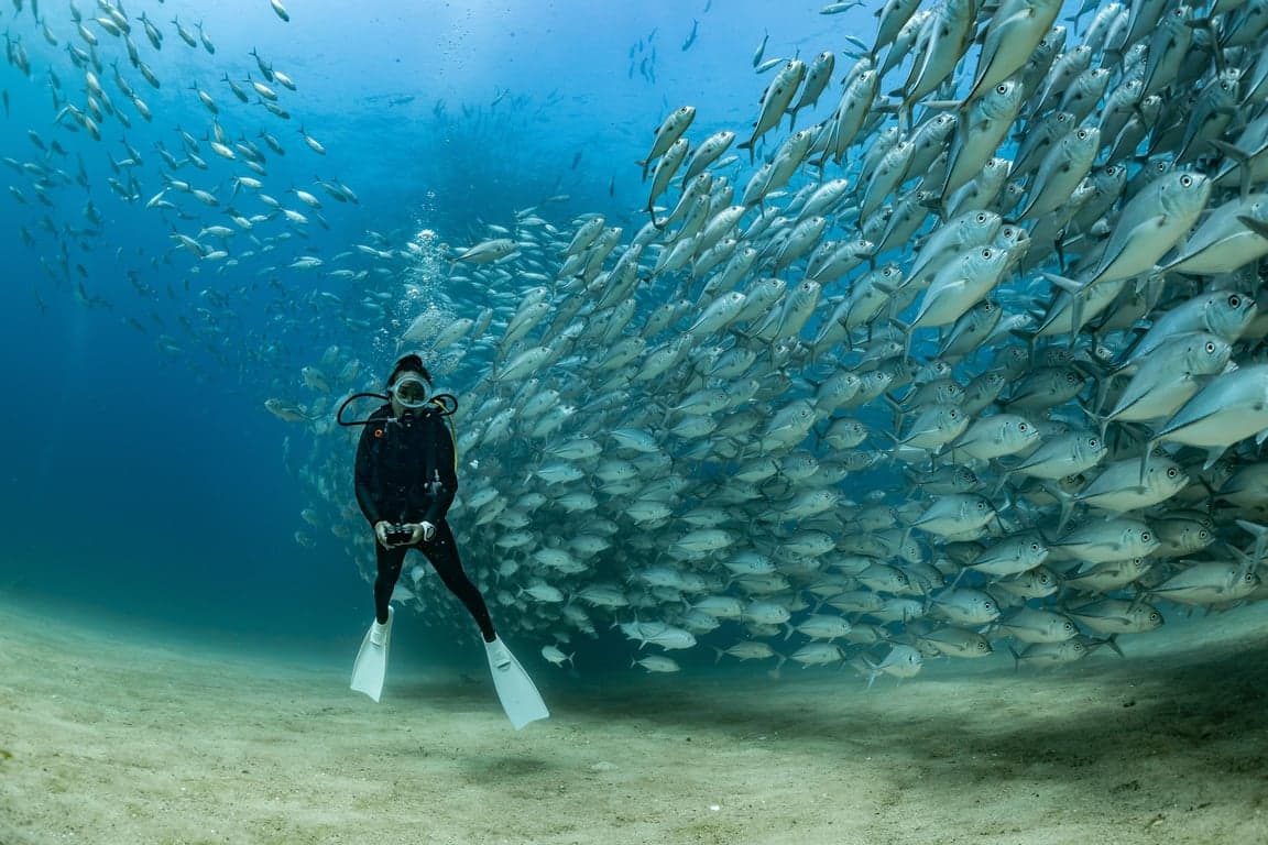 Cabo Pulmo