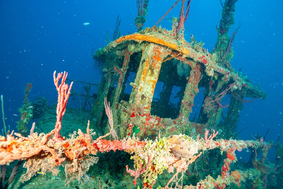 Honduras, Utila, The Halliburton Wreck.jpeg