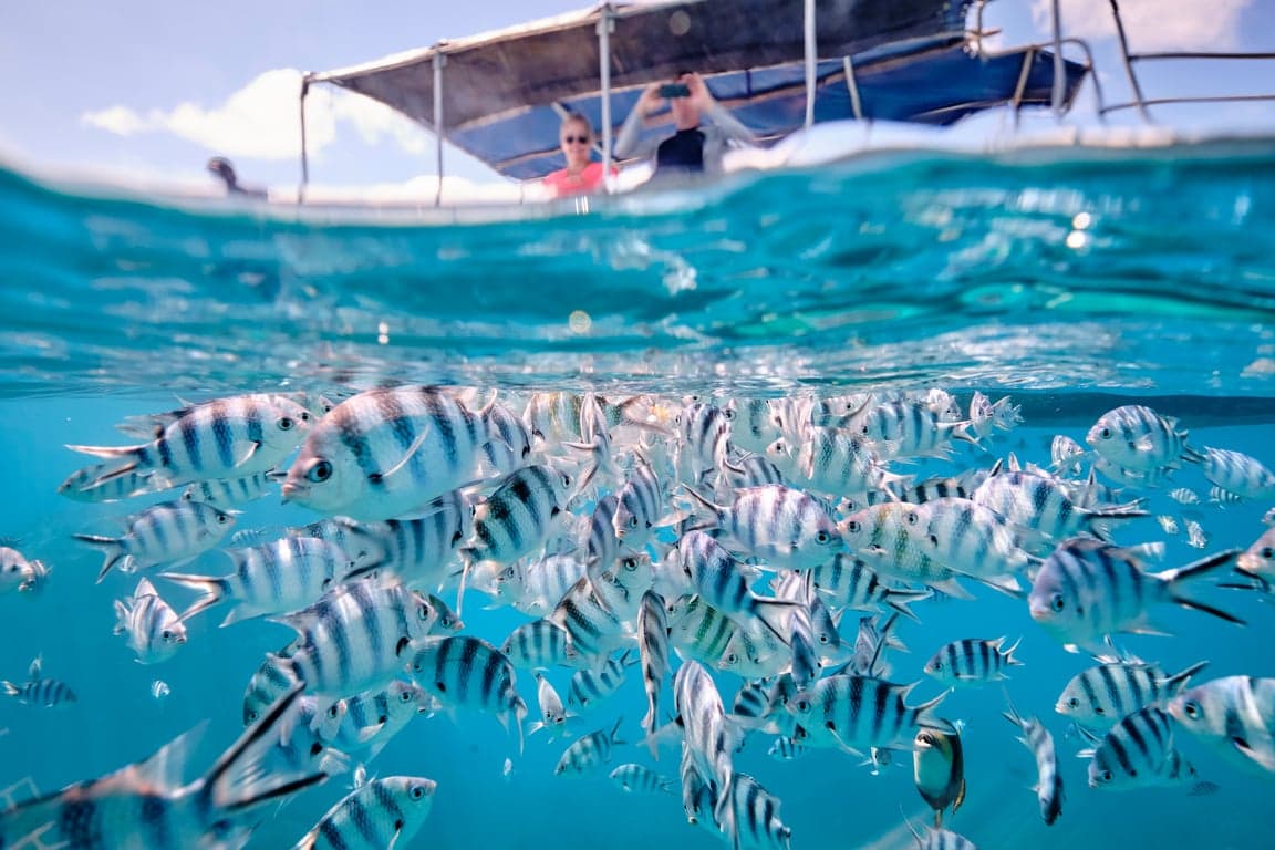 Scuba diving in Fiji