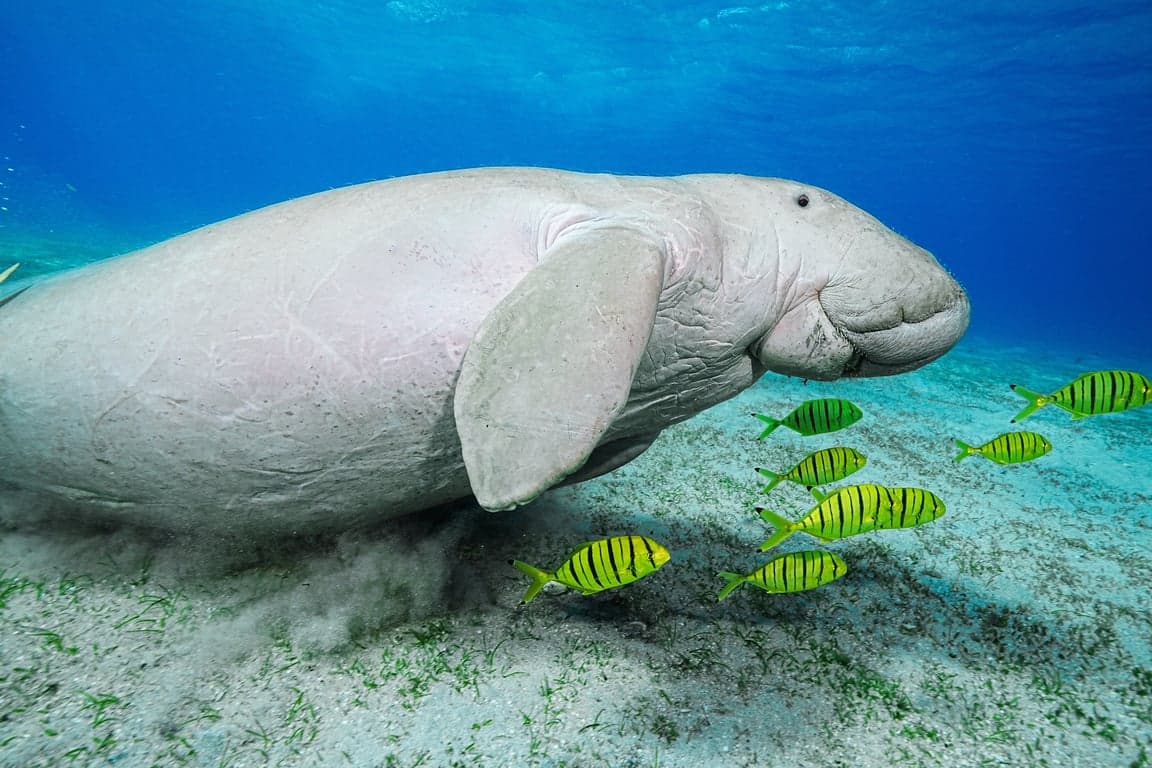 Marsa Alam