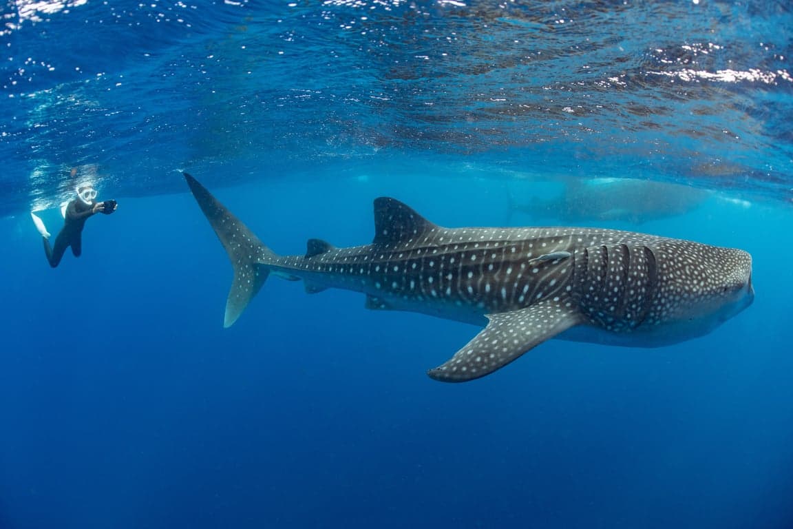 Isla Mujeres