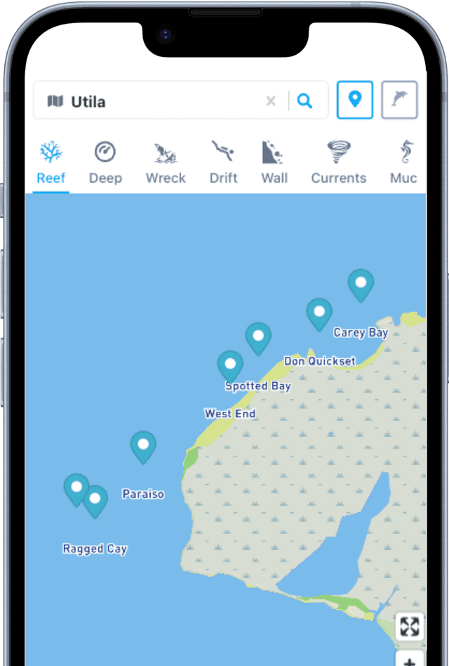 Divearoo interactive dive site map